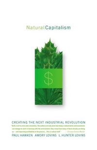 Cover image for Natural Capitalism: Creating the Next Industrial Revolution