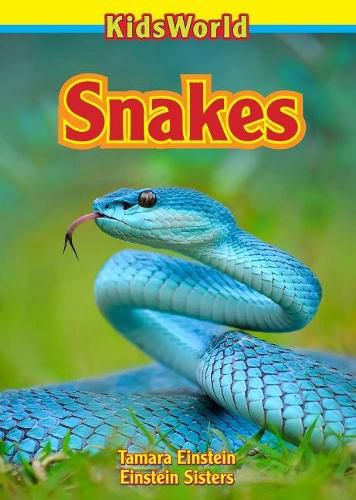 Cover image for Snakes