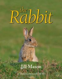 Cover image for The Rabbit