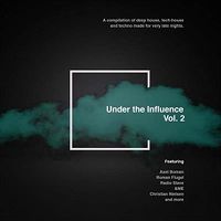 Cover image for Under The Influence Vol.2 Compiled By Paul Phillips