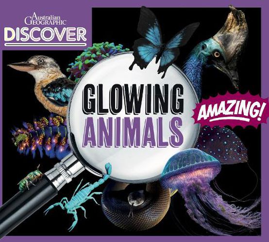 AG Discover: Glowing Animals