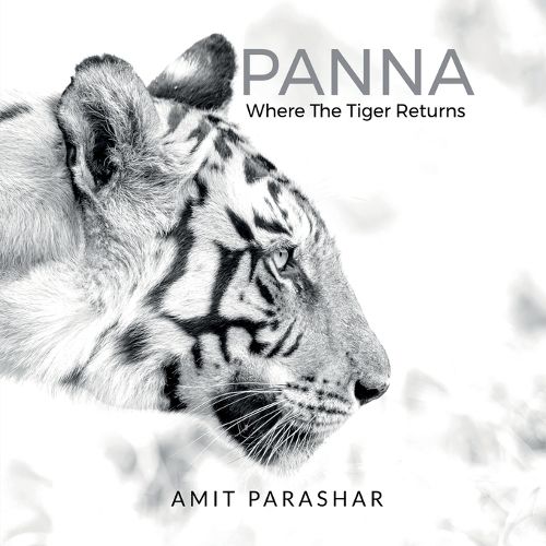 Cover image for Panna