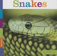 Cover image for Snakes