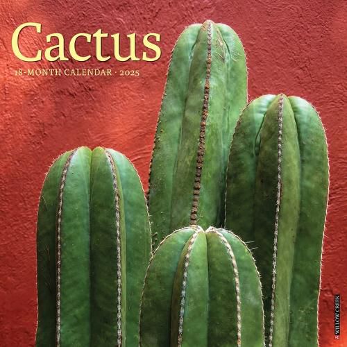 Cover image for Cactus 2026 12 X 12 Wall Calendar