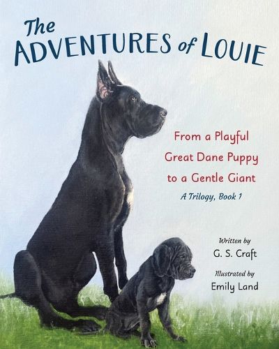 Cover image for The Adventures of Louie