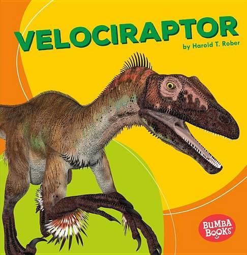 Cover image for Velociraptor