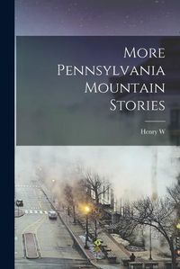 Cover image for More Pennsylvania Mountain Stories