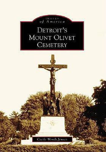 Cover image for Detroit's Mount Olivet Cemetery, Mi