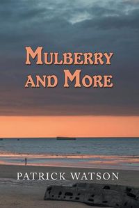 Cover image for Mulberry and More