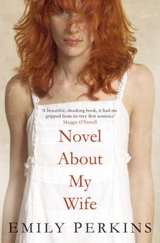 Cover image for Novel About My Wife