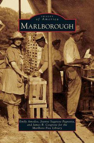 Cover image for Marlborough
