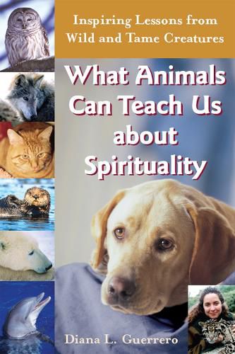 Cover image for What Animals Can Teach Us About Spirituality: Inspiring Lessons from Wild and Tame Creatures