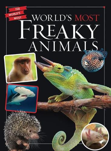 Cover image for World's Most Freaky Animals