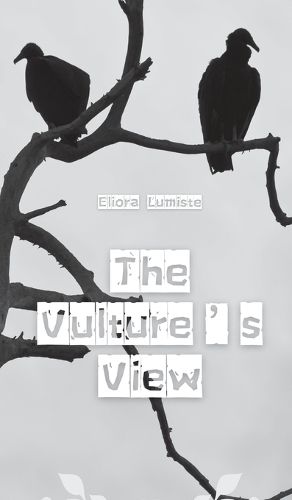 The Vulture's View