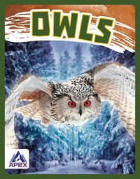 Cover image for Birds of Prey: Owls