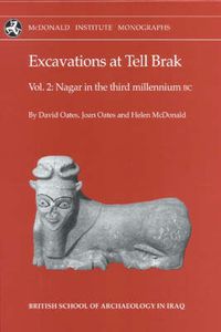 Cover image for Excavations at Tell Brak Volume 2: Nagar in the 3rd Millennium BC