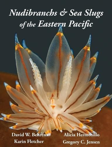 Cover image for Nudibranchs & Sea Slugs of the Eastern Pacific