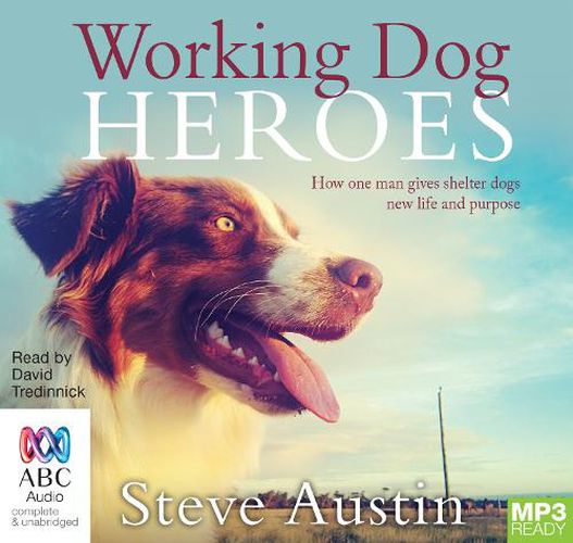 Cover image for Working Dog Heroes: How One Man Gives Shelter Dogs New Life and Purpose