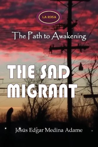 Cover image for The Sad Migrant