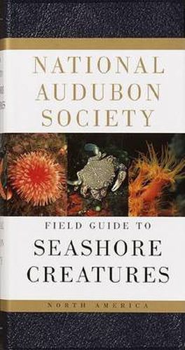 Cover image for National Audubon Society Field Guide to Seashore Creatures: North America