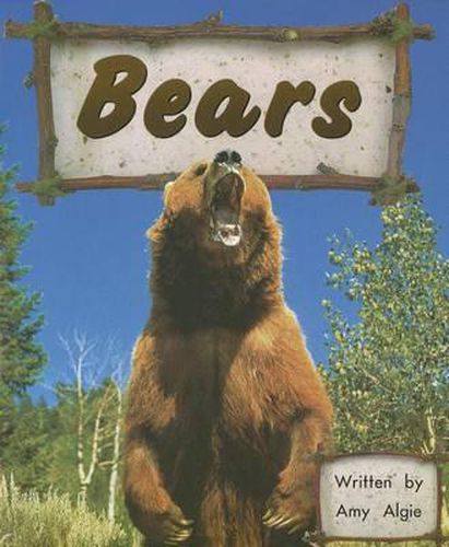 Cover image for Bears (Stlr Sml USA)