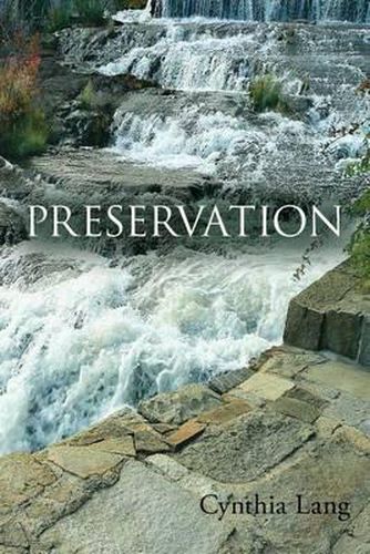 Cover image for Preservation