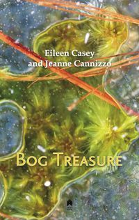 Cover image for Bog Treasure