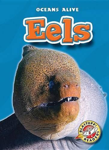 Cover image for Eels