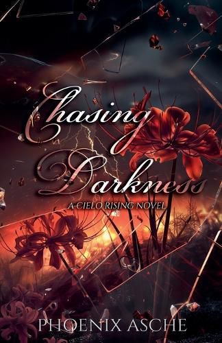 Cover image for Chasing Darkness
