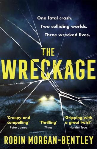 Cover image for The Wreckage: The gripping thriller that everyone is talking about