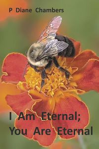 Cover image for I Am Eternal; You Are Eternal