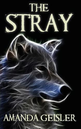 Cover image for The Stray