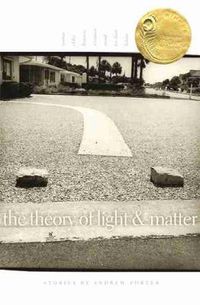 Cover image for The Theory of Light and Matter: Stories