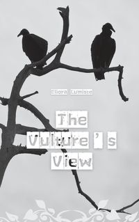 Cover image for The Vulture's View