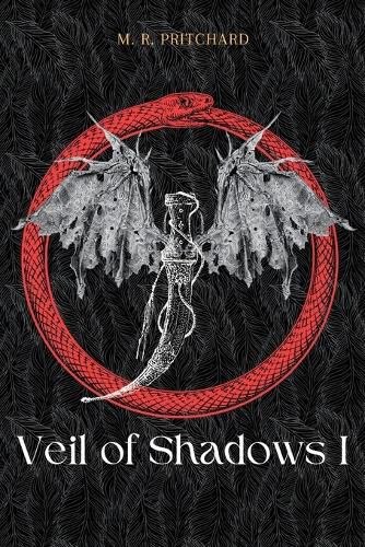 Veil of Shadows I