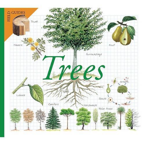 Cover image for Trees