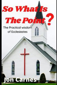 Cover image for So What is the Point: The Practical Wisdom of Ecclesiastes
