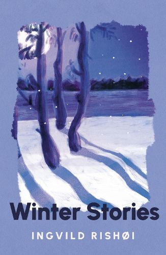 Cover image for Winter Stories