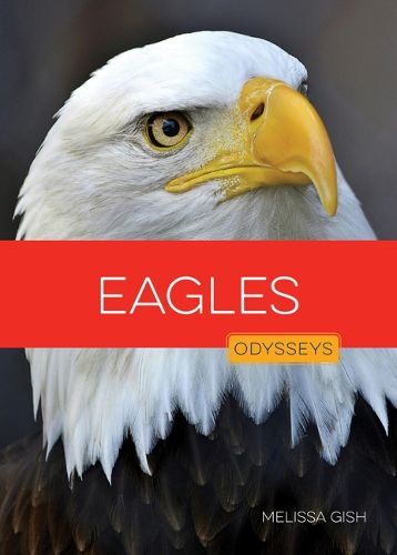 Cover image for Eagles