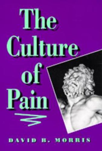 Cover image for The Culture of Pain