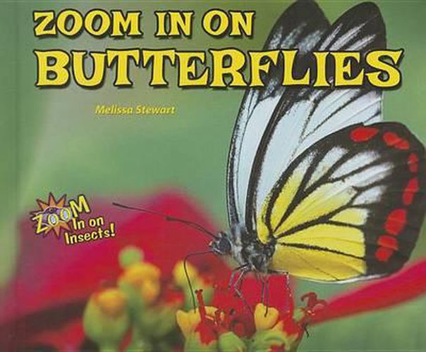 Cover image for Zoom in on Butterflies