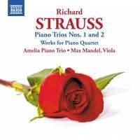 Cover image for Strauss R Piano Trios 1 2 Works For Piano Quartet