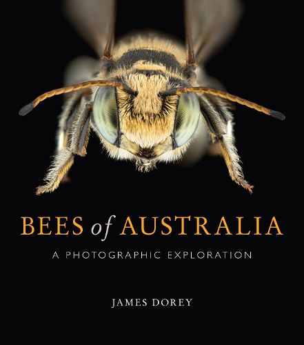 Cover image for Bees of Australia: A Photographic Guide