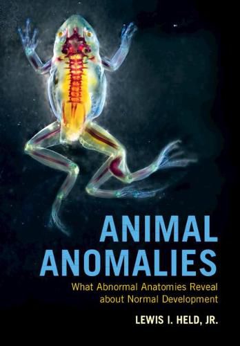 Cover image for Animal Anomalies: What Abnormal Anatomies Reveal about Normal Development