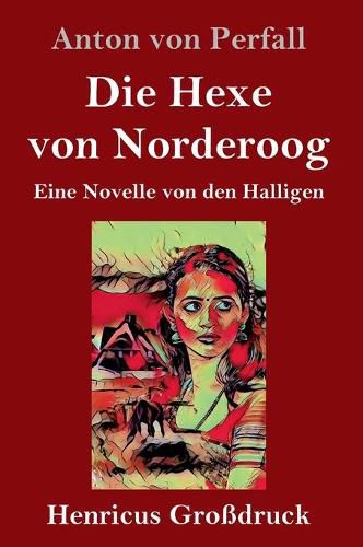 Cover image for Die Hexe von Norderoog (Grossdruck): Eine Novelle von den Halligen