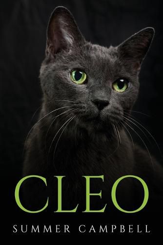 Cover image for Cleo