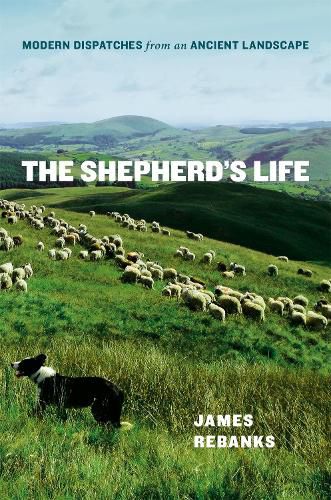 The Shepherd's Life: Modern Dispatches from an Ancient Landscape