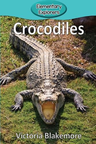 Cover image for Crocodiles