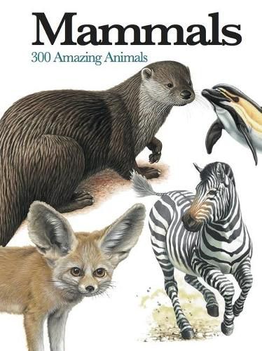 Cover image for Mammals: 300 Amazing Animals