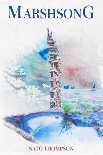 Cover image for Marshsong